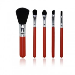 TODO 5 Pcs Mini Colorful Beginner Makeup Brush Set for Travel